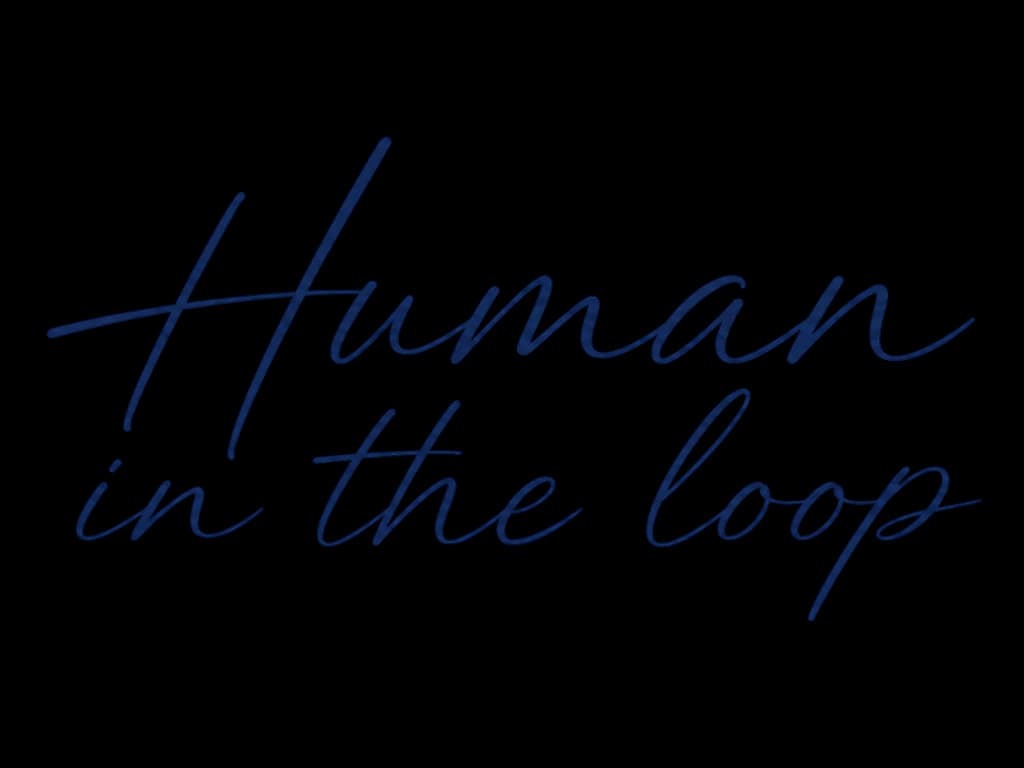 Human in the Loop